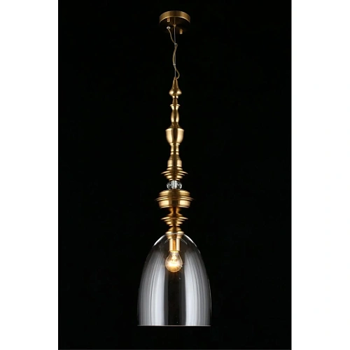 Светильник подвесной Aployt Rena APL.602.16.01 Светильник подвесной Aployt Rena APL.602.16.01