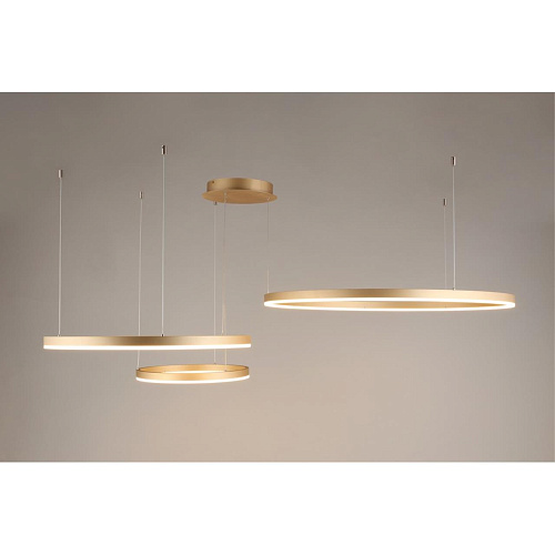 Люстра подвесная Aployt Terenia APL.024.03.136 Люстра подвесная Aployt Terenia APL.024.03.136