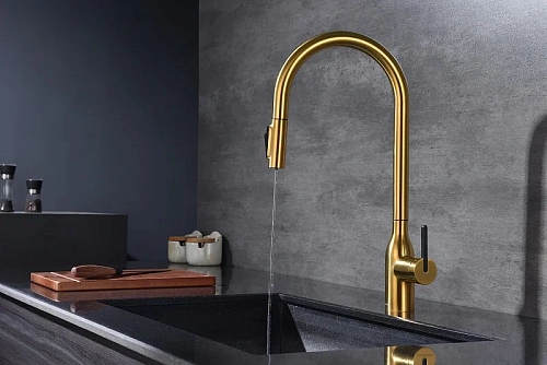 Смеситель для кухни Paulmark Universal брашированное золото Un213880-BG Смеситель для кухни Paulmark Universal брашированное золото Un213880-BG