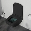 Унитаз подвесной AM.PM Inspire V2.0 C50A1700MBSC FlashClean с сиденьем микролифт, черный матовый Унитаз подвесной AM.PM Inspire V2.0 C50A1700MBSC FlashClean с сиденьем микролифт, черный матовый
