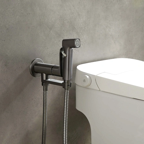 Гигиенический душ Aquatek АЛЬФА AQ1919BGM оружейная сталь Гигиенический душ Aquatek АЛЬФА AQ1919BGM оружейная сталь