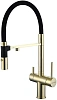Смеситель для кухни Paulmark MAGNETO Starke, Ma213118-G, с гибким изливом, золото под фильтр