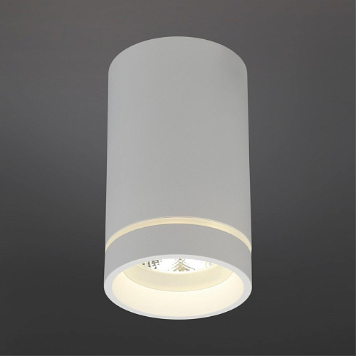 Светильник встраиваемый-накладной Aployt Edda APL.0054.09.10 Светильник встраиваемый-накладной Aployt Edda APL.0054.09.10