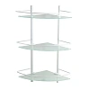 Полка WasserKRAFT K-3133WHITE стеклянная тройная белый Полка WasserKRAFT K-3133WHITE стеклянная тройная белый