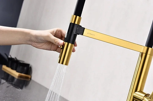 Смеситель для кухни Paulmark Leader брашированное золото Le214101-BG Смеситель для кухни Paulmark Leader брашированное золото Le214101-BG