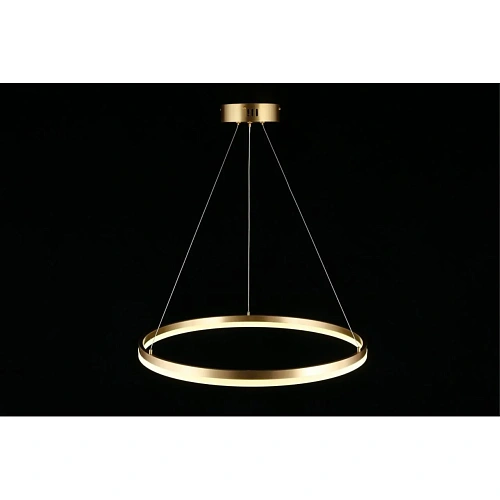 Люстра подвесная Aployt Armel APL.049.13.40 Люстра подвесная Aployt Armel APL.049.13.40