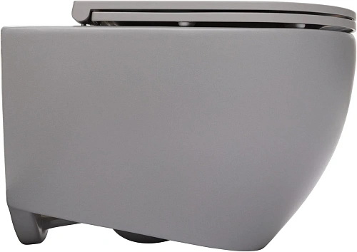 Унитаз подвесной Allen Brau Reality 4.32015.SG сиденье с микролифт серый матовый Унитаз подвесной Allen Brau Reality 4.32015.SG сиденье с микролифт серый матовый