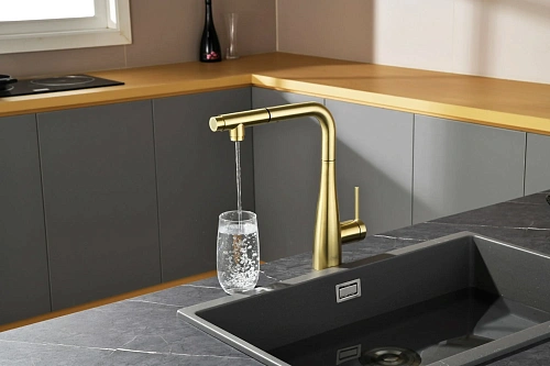 Смеситель для кухни AQUAme Cucina AQM9902BG с выдвижным изливом, золото шлифованное Смеситель для кухни AQUAme Cucina AQM9902BG с выдвижным изливом, золото шлифованное