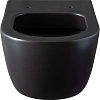 Унитаз подвесной Allen Brau Priority 4.31001.31 с крышкой, черный матовый Унитаз подвесной Allen Brau Priority 4.31001.31 с крышкой, черный матовый