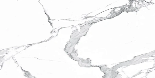 Керамогранит Neodom Belvedere Statuario Classico Polished 60x120 N20321 Керамогранит Neodom Belvedere Statuario Classico Polished 60x120 N20321