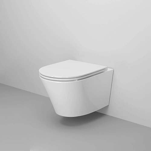 Унитаз подвесной Ambassador Ritz 233K19003RS (530x360x350) безободковый с сиденьем Унитаз подвесной Ambassador Ritz 233K19003RS (530x360x350) безободковый с сиденьем