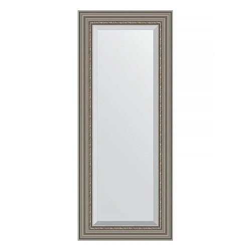 Зеркало в багетной раме Evoform Exclusive BY 1257 56 x 136 см, римское серебро Зеркало в багетной раме Evoform Exclusive BY 1257 56 x 136 см, римское серебро