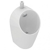 Писсуар Ideal Standard SPHERO MIDI E189501 со стандартным смывом, верхняя подводка