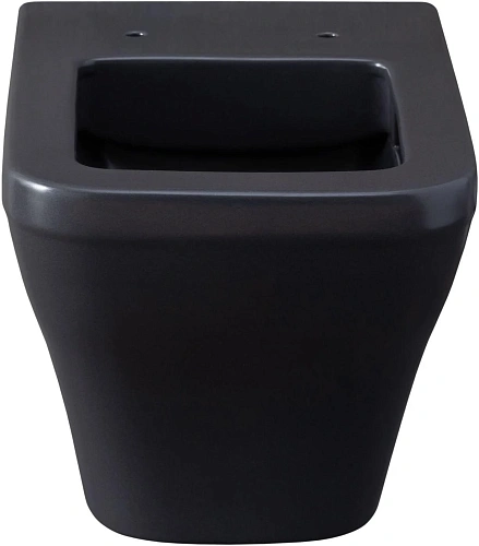 Унитаз подвесной Allen Brau Infinity 4.21011.AN с крышкой, антрацит Унитаз подвесной Allen Brau Infinity 4.21011.AN с крышкой, антрацит