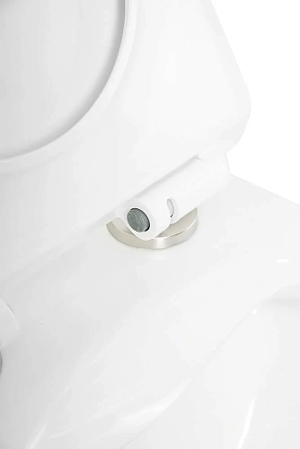 Унитаз подвесной BelBagno SELA BB3201CHR/BB3201SC безободковый с сиденьем Унитаз подвесной BelBagno SELA BB3201CHR/BB3201SC безободковый с сиденьем