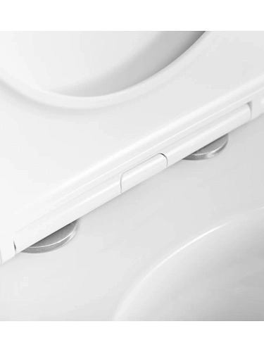 Унитаз подвесной BelBagno ETNA BB008CH-TOR/SC безободковый с сиденьем и смывом TORNADO Унитаз подвесной BelBagno ETNA BB008CH-TOR/SC безободковый с сиденьем и смывом TORNADO