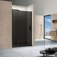 Душевая дверь Vincea Extra VDP-1E8090CGB, 800/900, черный, стекло тонированное Душевая дверь Vincea Extra VDP-1E8090CGB, 800/900, черный, стекло тонированное