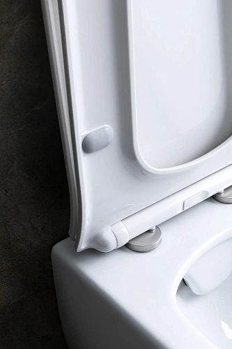 Унитаз подвесной Allen Brau Liberty 4.33007.20 с крышкой, белый Унитаз подвесной Allen Brau Liberty 4.33007.20 с крышкой, белый