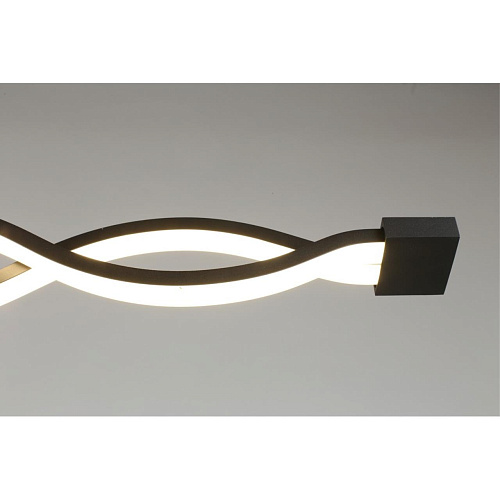 Светильник настенно-потолочный Aployt Nadayn APL.002.12.36 Светильник настенно-потолочный Aployt Nadayn APL.002.12.36