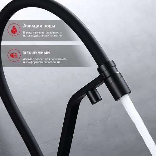 Смеситель для кухни Raglo R85.62.06 с гибким изливом с подключением к фильтру, черный Смеситель для кухни Raglo R85.62.06 с гибким изливом с подключением к фильтру, черный