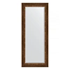 Зеркало в багетной раме Evoform Exclusive BY 3543 61 x 146 см, римская бронза