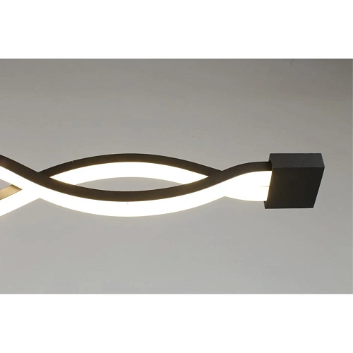 Светильник настенно-потолочный Aployt Nadayn APL.002.12.36 Светильник настенно-потолочный Aployt Nadayn APL.002.12.36