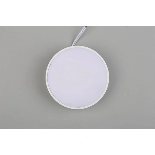 Светильник настенно-потолочный Aployt Evon APL.0114.09.12 Светильник настенно-потолочный Aployt Evon APL.0114.09.12