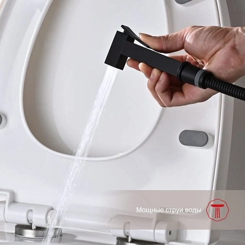 Гигиенический душ Raglo R01.52.06 встраиваемый, черный Гигиенический душ Raglo R01.52.06 встраиваемый, черный