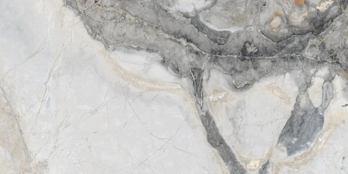 Керамогранит Neodom Matt Renoir Satin 60x120 N20376 Керамогранит Neodom Matt Renoir Satin 60x120 N20376