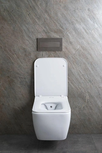 Унитаз подвесной Allen Brau Liberty 4.33009.20 с крышкой, белый Унитаз подвесной Allen Brau Liberty 4.33009.20 с крышкой, белый