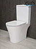Картинка анонса товара «унитаз напольный gid tn2124 62244y белый 60.5x36x82.5 с крышкой микролифт»