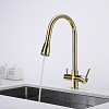 Смеситель для кухни Paulmark Lange золото La214212-G Смеситель для кухни Paulmark Lange золото La214212-G