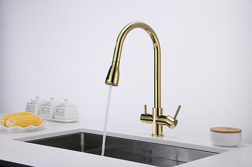 Смеситель для кухни Paulmark Lange золото La214212-G Смеситель для кухни Paulmark Lange золото La214212-G
