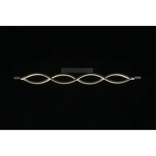 Светильник настенно-потолочный Aployt Nadayn APL.002.12.36 Светильник настенно-потолочный Aployt Nadayn APL.002.12.36