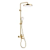 Душевая система Raglo R07.24.03 излив поворотный 20 см, сатин золотой