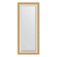 Зеркало в багетной раме Evoform Exclusive BY 1171 61 x 146 см, травленое золото Зеркало в багетной раме Evoform Exclusive BY 1171 61 x 146 см, травленое золото