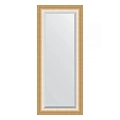 Зеркало в багетной раме Evoform Exclusive BY 1171 61 x 146 см, травленое золото Зеркало в багетной раме Evoform Exclusive BY 1171 61 x 146 см, травленое золото