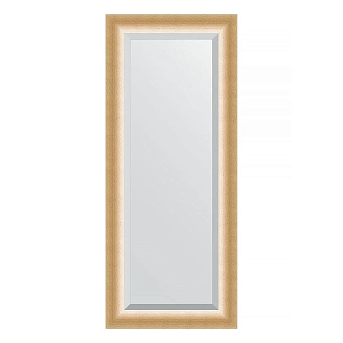 Зеркало в багетной раме Evoform Exclusive BY 1171 61 x 146 см, травленое золото Зеркало в багетной раме Evoform Exclusive BY 1171 61 x 146 см, травленое золото