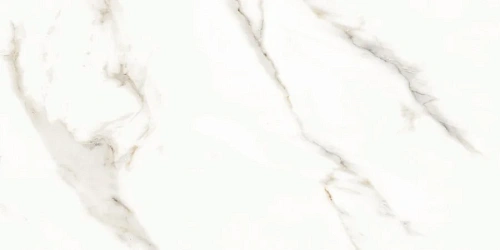 Керамогранит Neodom Splendida Marmol Carrara Polished 60x120 N12028 Керамогранит Neodom Splendida Marmol Carrara Polished 60x120 N12028