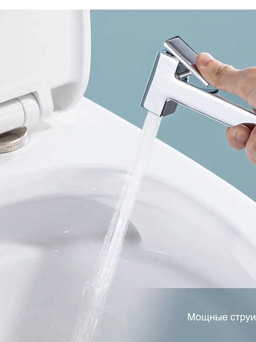 Гигиенический душ Raglo R51.55 встраиваемый, хром Гигиенический душ Raglo R51.55 встраиваемый, хром