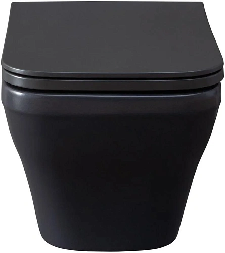 Унитаз подвесной Allen Brau Infinity 4.21011.AN с крышкой, антрацит Унитаз подвесной Allen Brau Infinity 4.21011.AN с крышкой, антрацит