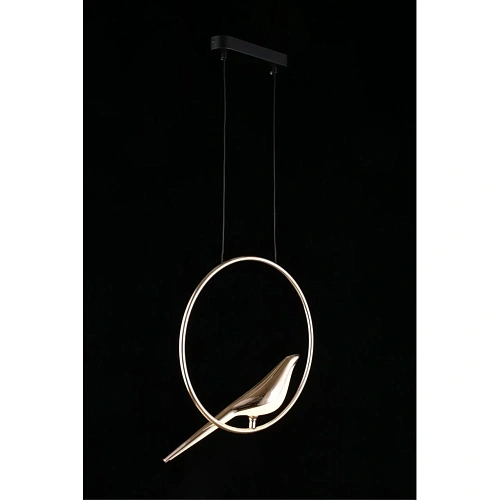 Светильник подвесной Aployt Astor APL.822.06.10 Светильник подвесной Aployt Astor APL.822.06.10