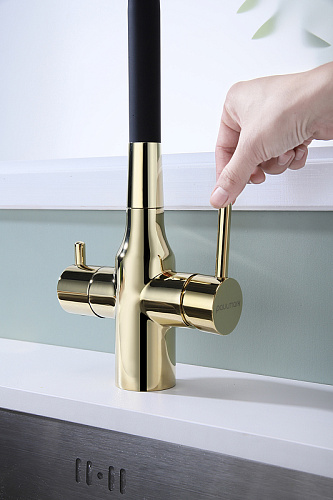 Смеситель для кухни Paulmark Salix золото Sa213419-G Смеситель для кухни Paulmark Salix золото Sa213419-G