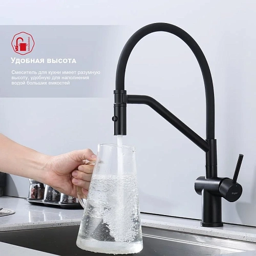 Смеситель для кухни Raglo R86.41.06 с гибким изливом, черный Смеситель для кухни Raglo R86.41.06 с гибким изливом, черный