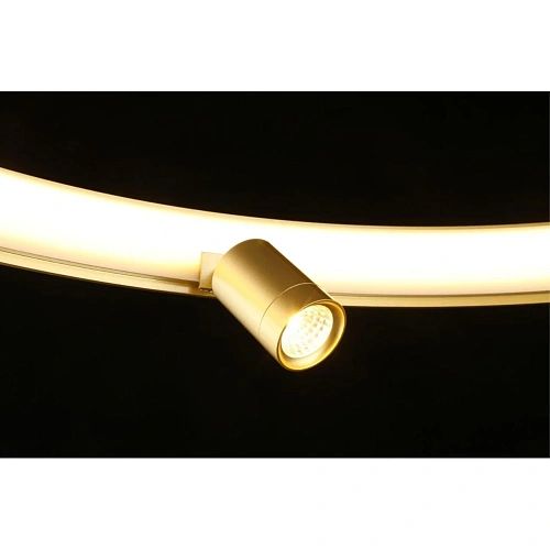 Люстра подвесная Aployt Jolanta APL.041.03.50 Люстра подвесная Aployt Jolanta APL.041.03.50