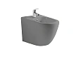 Биде подвесное Aquatek ЕВРОПА AQ1016-MG 510x355x310, цвет серый матовый Биде подвесное Aquatek ЕВРОПА AQ1016-MG 510x355x310, цвет серый матовый