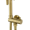 Гигиенический душ Wonzon & Woghand брашированное золото (WW-88809903-BG) Гигиенический душ Wonzon & Woghand брашированное золото (WW-88809903-BG)