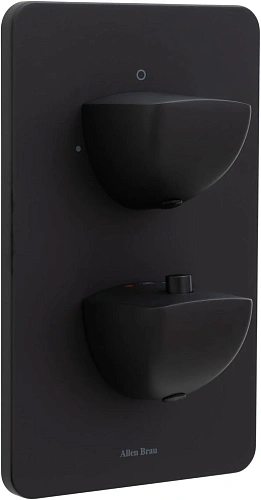 Смеситель для ванны Allen Brau Infinity 5.21216-31 (с внутренней частью, 2 выхода) черный матовый Смеситель для ванны Allen Brau Infinity 5.21216-31 (с внутренней частью, 2 выхода) черный матовый