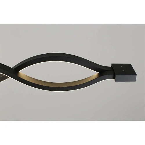 Светильник настенно-потолочный Aployt Nadayn APL.002.12.36 Светильник настенно-потолочный Aployt Nadayn APL.002.12.36