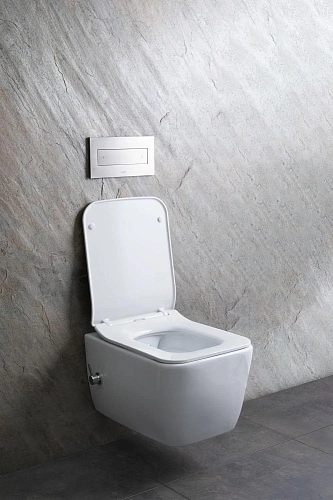 Унитаз подвесной Allen Brau Liberty 4.33009.20 с крышкой, белый Унитаз подвесной Allen Brau Liberty 4.33009.20 с крышкой, белый